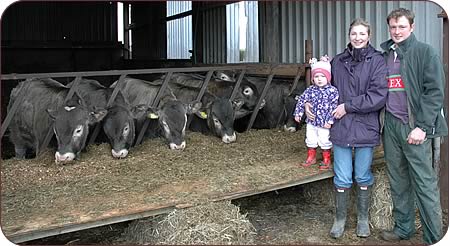 Adam and Ruth Greenhalgh with daughter Molly and young pedigree Bazadaise bulls at Heggerscale.