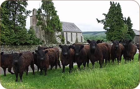 Galloway females outside Bewcastle church.