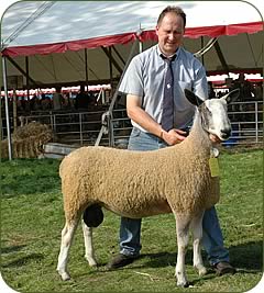 Nicholas Robinson with his leading Bluefaced shearling which sold for £3,500to top the breed entry at Kelso Ram Sales 2004.