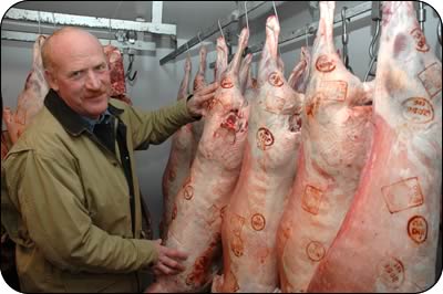 Steve in the chiller with lamb carcases bearing the Soil Association stamp and the business logo.