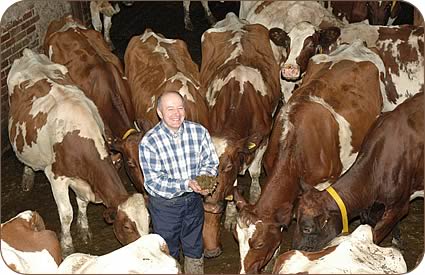 Willie Watson with his HSG silage among his Ayrshires