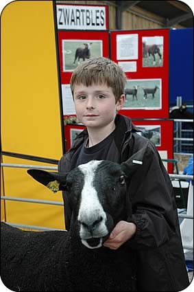 Ben Shadwick with a shearling ram