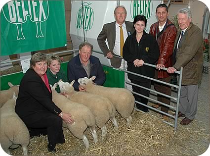 Romanian visitors to North Sheep