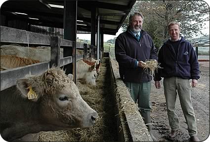 Donald Brown, left, with John Guiry at Town Farm, Glanton where more efficient feeding of beef cattle has allowed expansion of the sheep flock and the building of new winter housing for the sheep, right.
