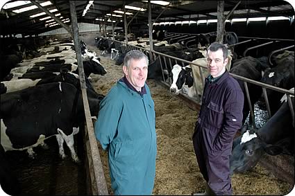 Coomara vet Graham Brooks and Ian Bulman with the Bankhouse Herd. 