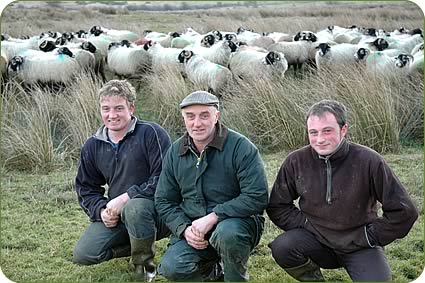 Left to right, Martin, Benson and Philip Hewitson with their Swaledale ewes on Low Moor.