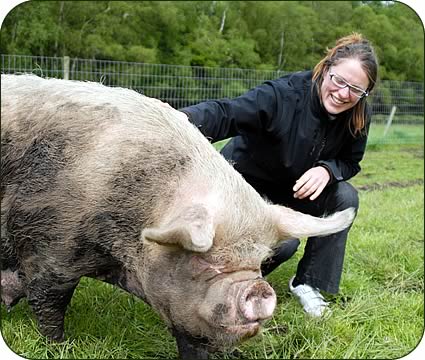 Michelle and a Middle White Sow 