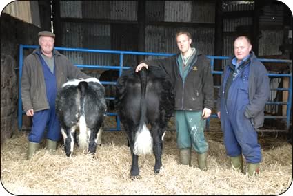 The Terrys Farm team - from left, Ian, Kevin and Michael Sowerby with their Agri Expo cattle, both sired by stock bull Hillside Wallace.