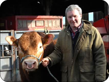 Kenny MacGregor with stock bull Overthwaite Chartered.