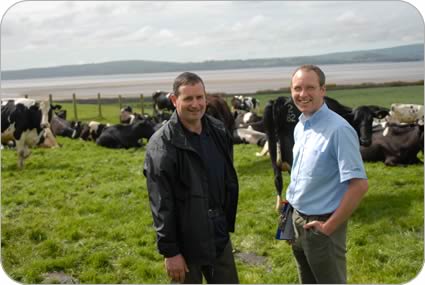 Kenny MacGregor with stock bull Overthwaite Chartered.