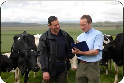 Frank Philipson, left, and vet Richard Knight discuss the Holstein milkers at Canonwinder