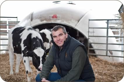 Martin and his calves in the igloos