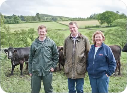 Harry, Benedict and Annabelle with Limousin cross heifers  