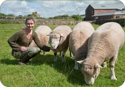 Karen Hodgson and her Poll Dorset rams