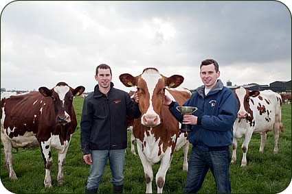 James (left) and Philip with the miking cows at Rosewain Farm