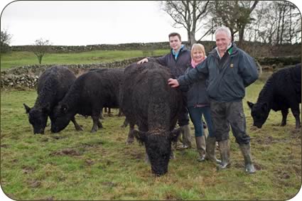 William, Caroline and Michael McCornick with their docile Galloway cows