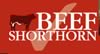 Shorthorn