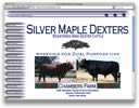 silver maple dexters