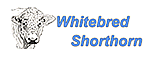 Whitebred Shorthorn Association